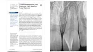 odf et endo - dr brice riera