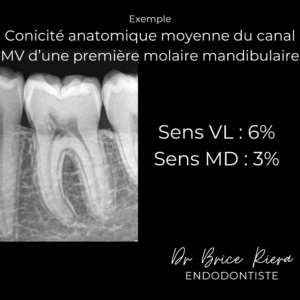 2dr Brice Riera - conicite anatomique