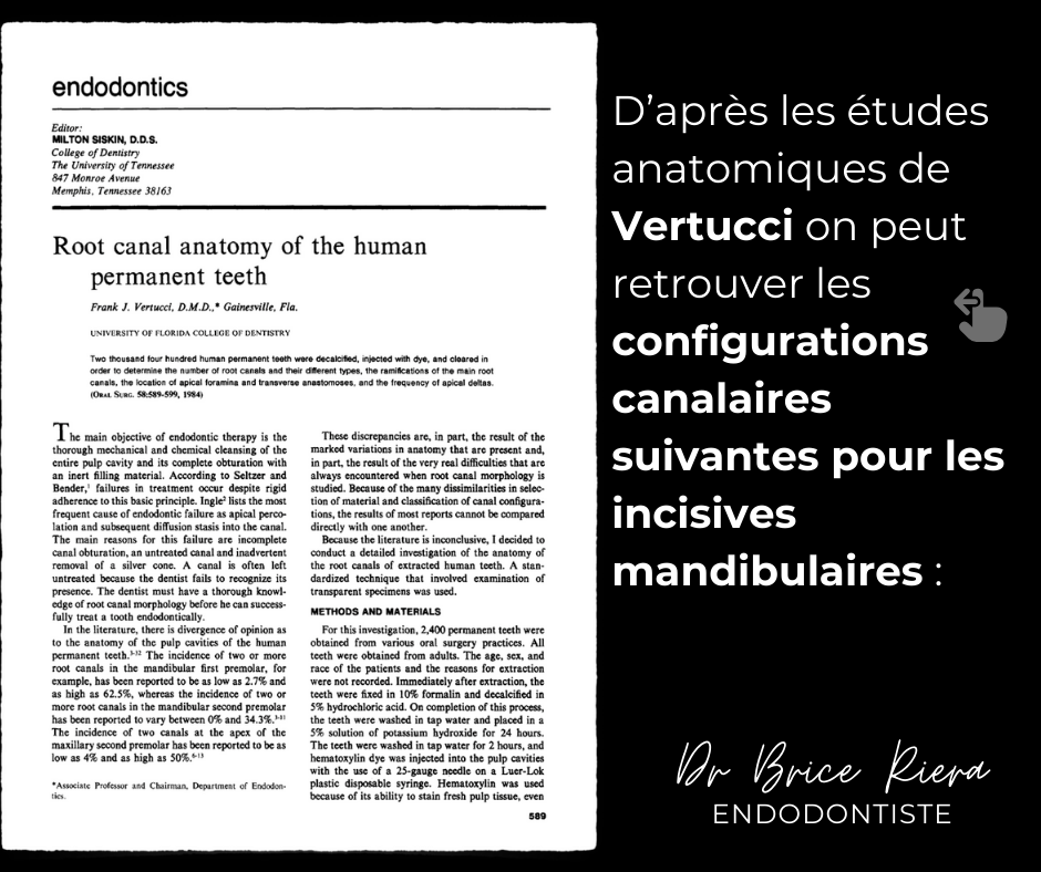 2 - Retraitement 31 - Dr Brice Riera