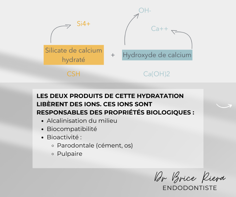 Dr Brice Riera - reaction de prise des materiaux bioceramiques - 2