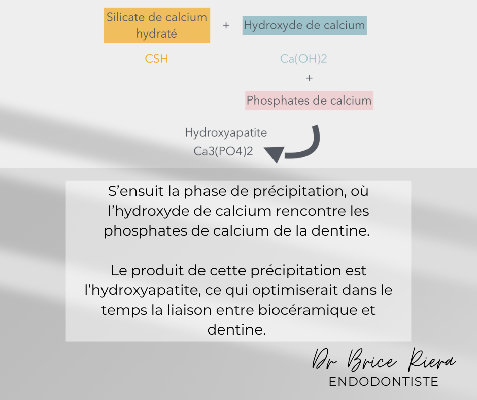 Dr Brice Riera - reaction de prise des materiaux bioceramiques - 3