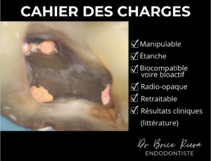 blog - dr brice riera - cahier des charges