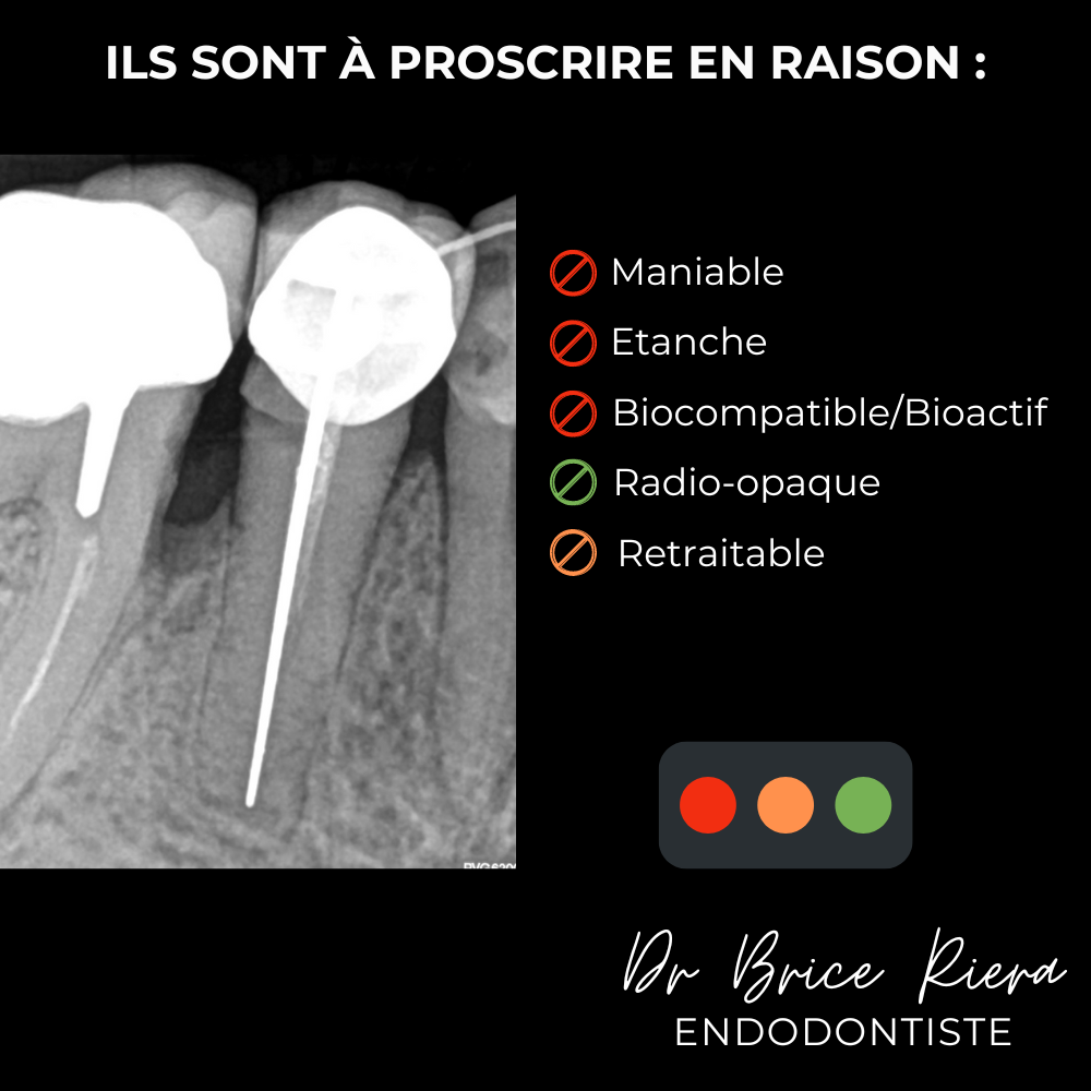 Dr Brice Riera - les cones d argent -2