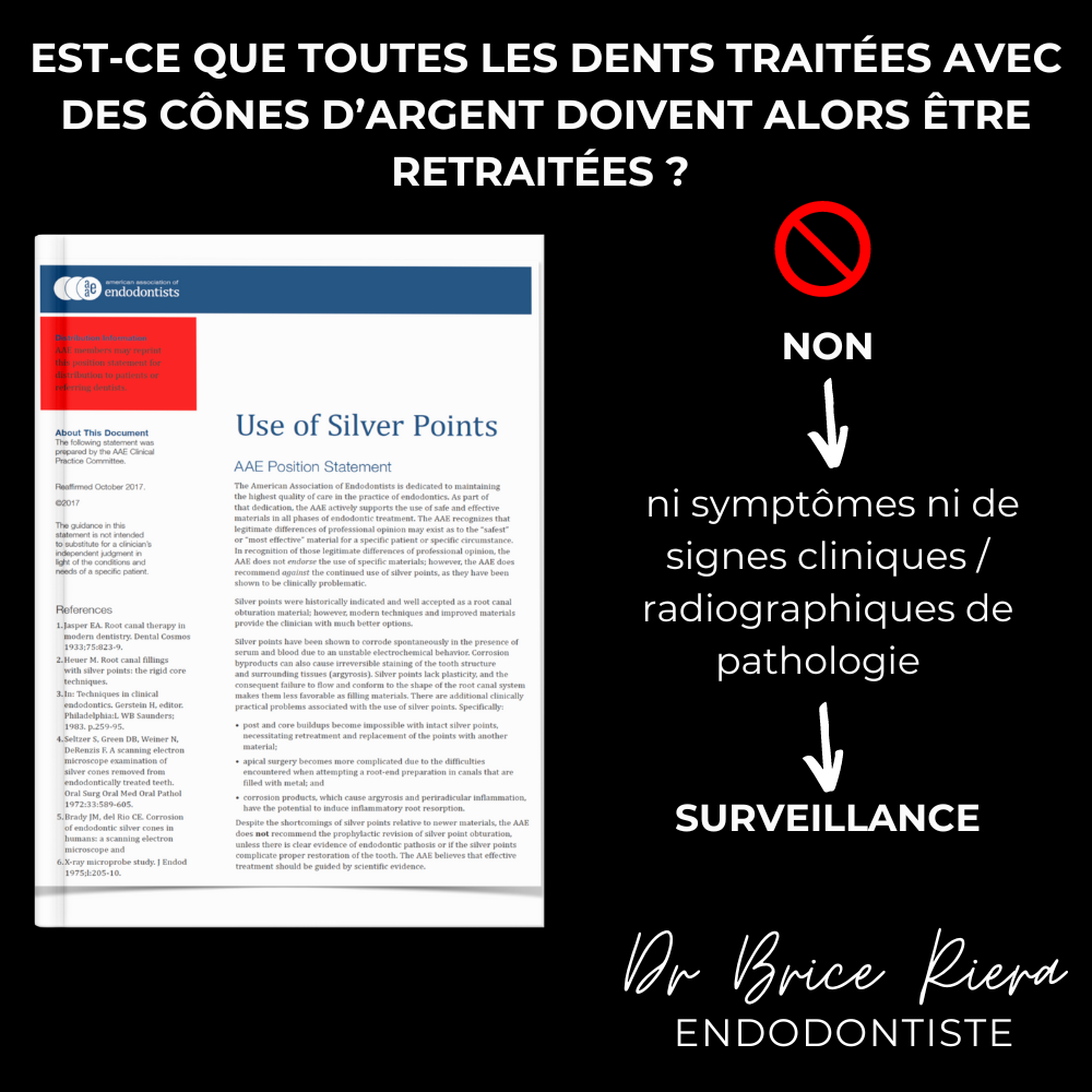 Dr Brice Riera - les cones d argent -3