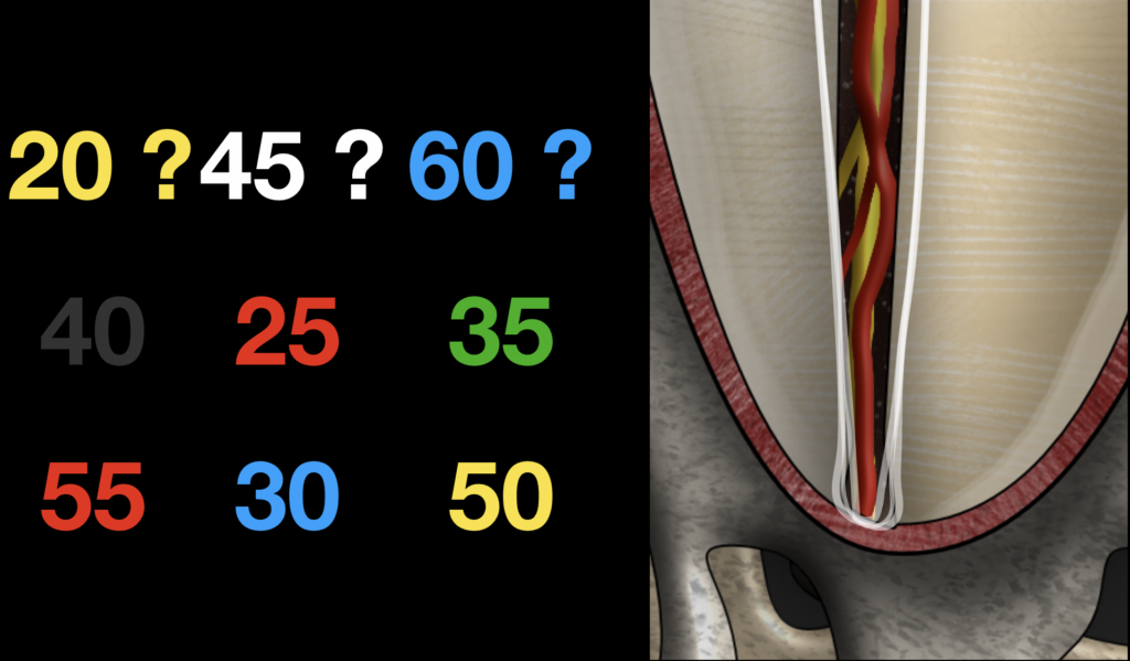 Blog - Dr Brice Riera - Diametre apical