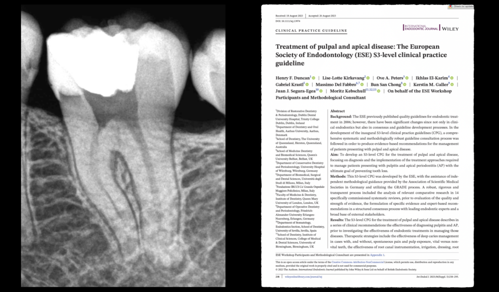 BLOG- Dr Brice Riera - Revitalisation